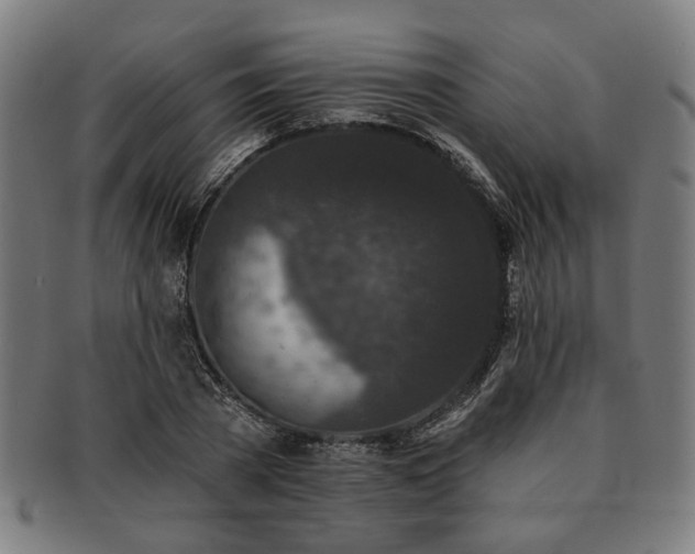 X0000091700785200708311052