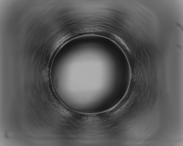 X0000091700786200708311052