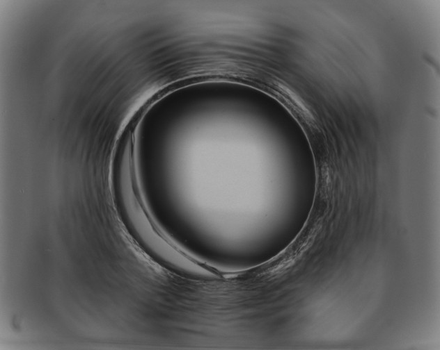 X0000091700788200708311052