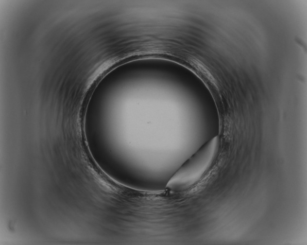 X0000091700789200708311052