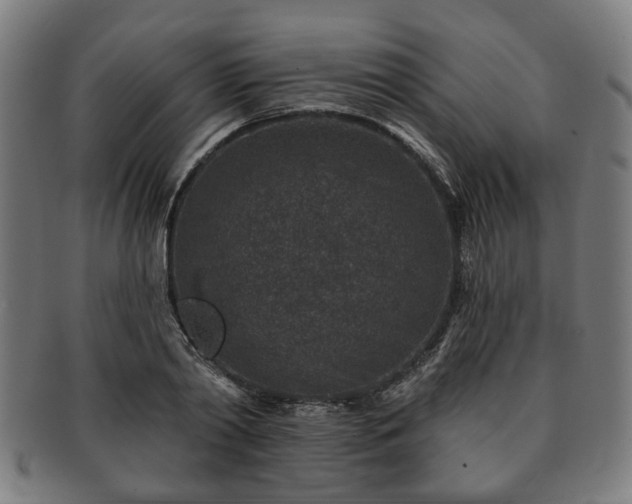 X0000091700790200708311052