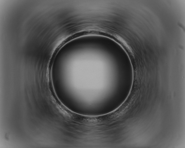 X0000091700791200708311052