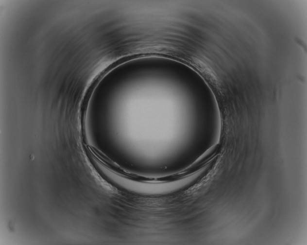 X0000091700792200708311052
