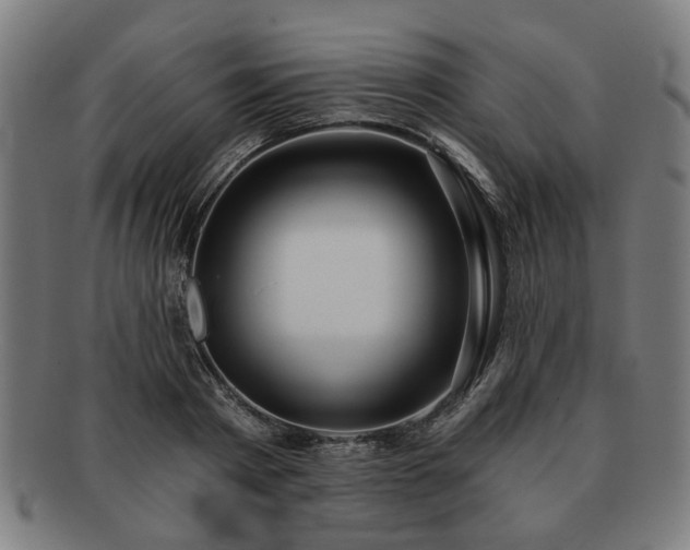 X0000091700793200708311052