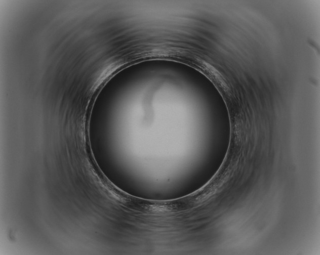 X0000091700794200708311052