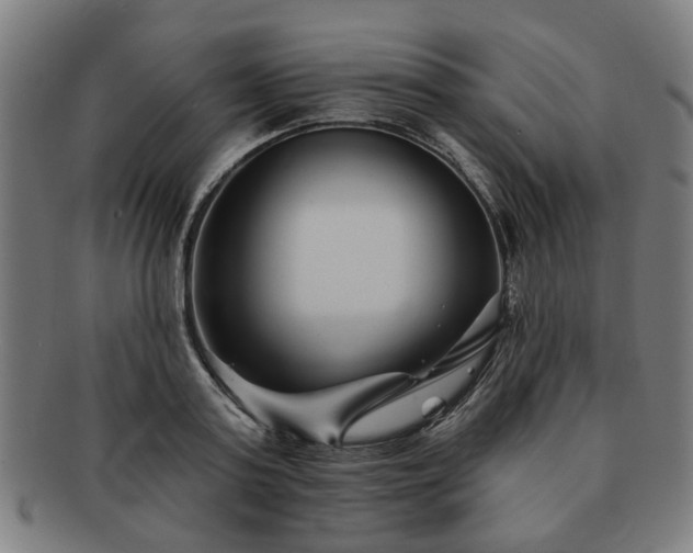 X0000091700795200708311052