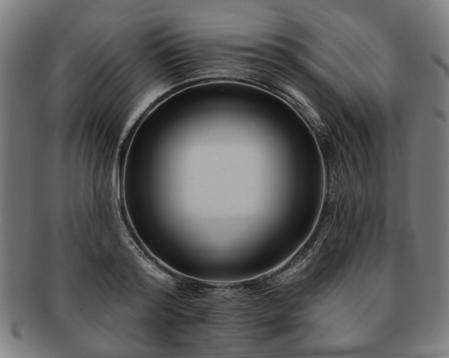 X0000091700796200708311052
