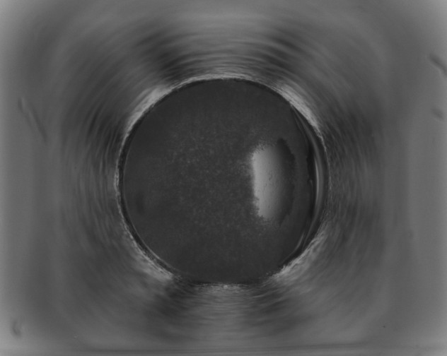 X0000091700797200708311052