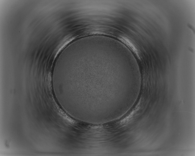 X0000091700798200708311052