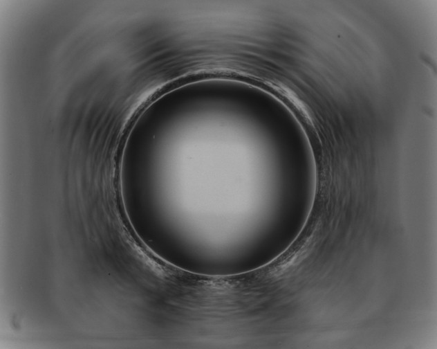 X0000091700799200708311052
