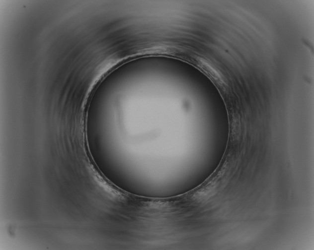 X0000091700800200708311052