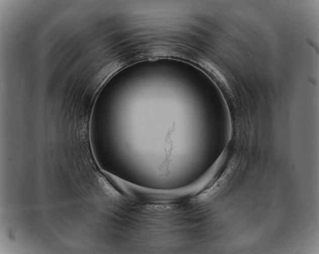X0000091700801200708311052