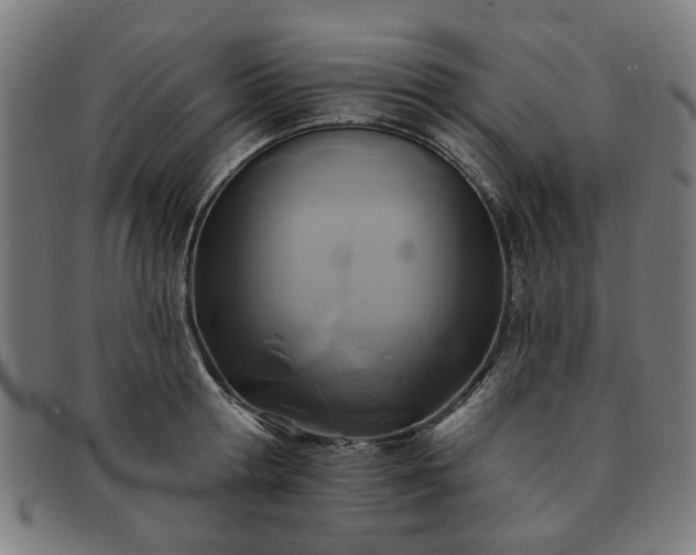 X0000091700802200708311052