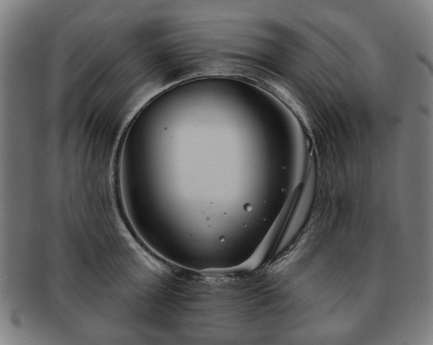 X0000091700803200708311052