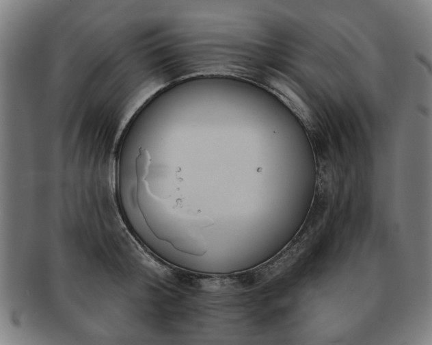 X0000091700804200708311052