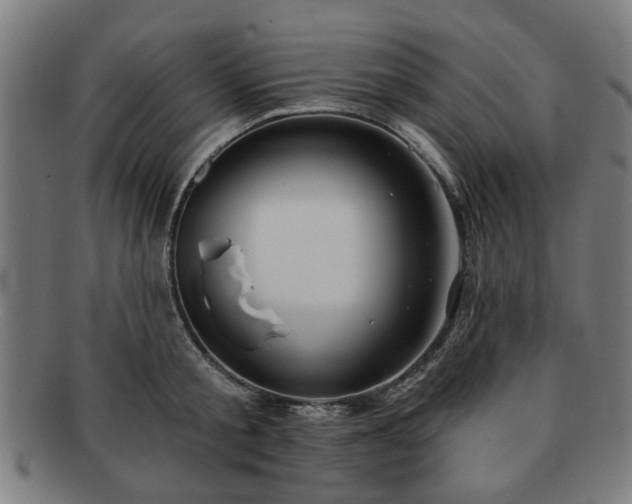 X0000091700805200708311052