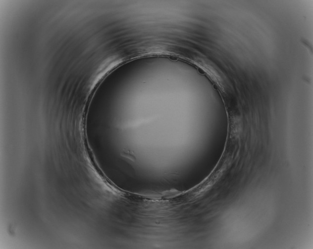 X0000091700806200708311052