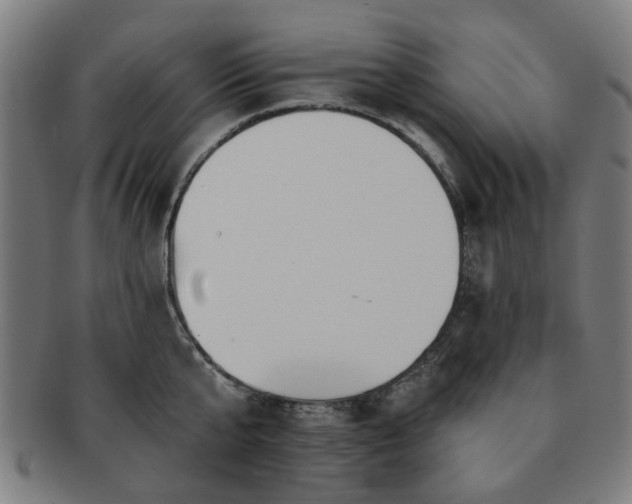 X0000091700807200708311052