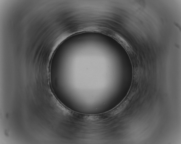 X0000091700808200708311052