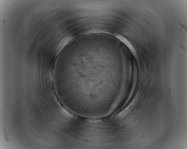 X0000091700809200708311052
