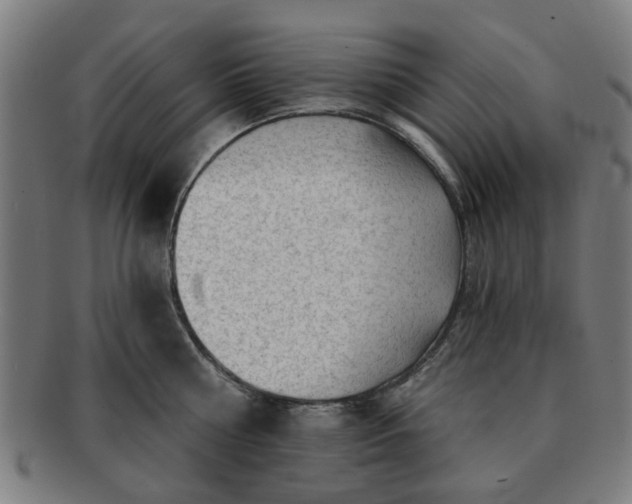 X0000091700810200708311052
