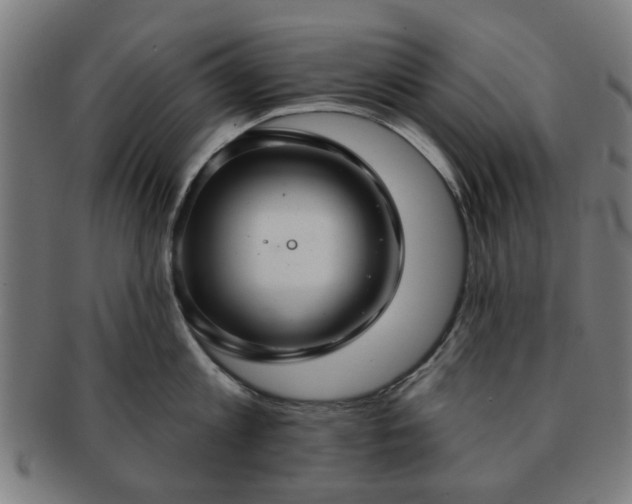 X0000091700813200708311052