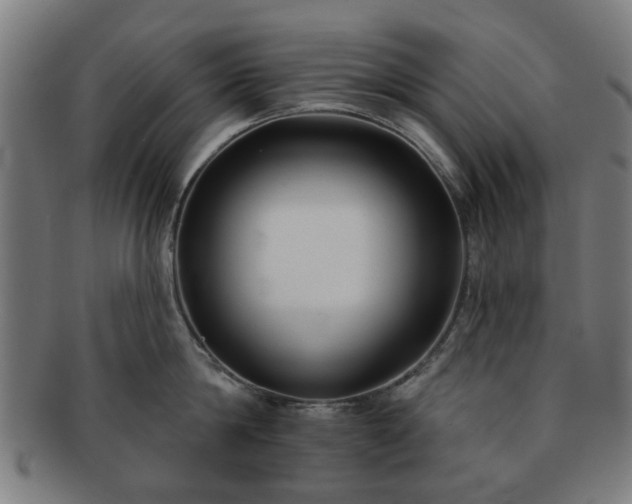 X0000091700814200708311052