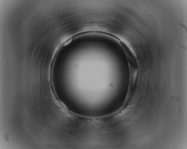 X0000091700815200708311052