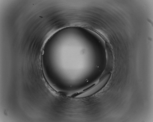 X0000091700816200708311052