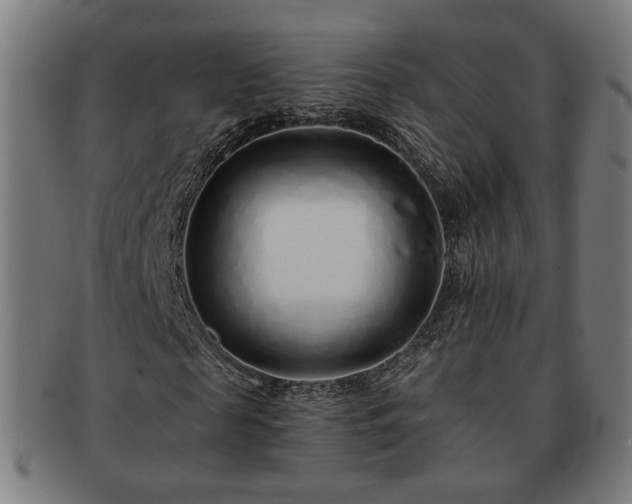 X0000091700817200708311051