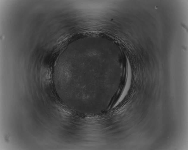 X0000091700818200708311051