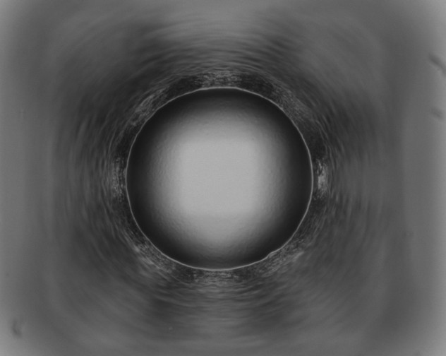 X0000091700819200708311051