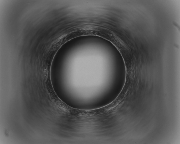 X0000091700821200708311051