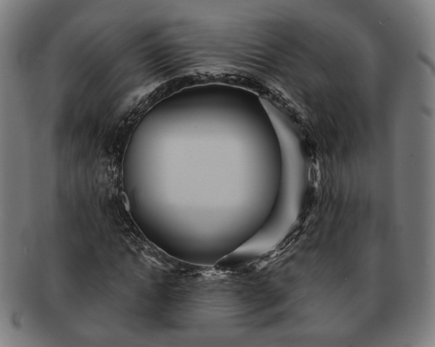 X0000091700822200708311051