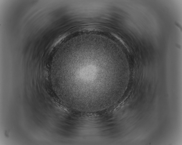 X0000091700823200708311051