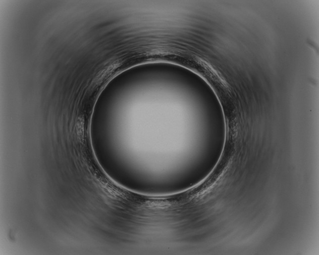X0000091700825200708311051
