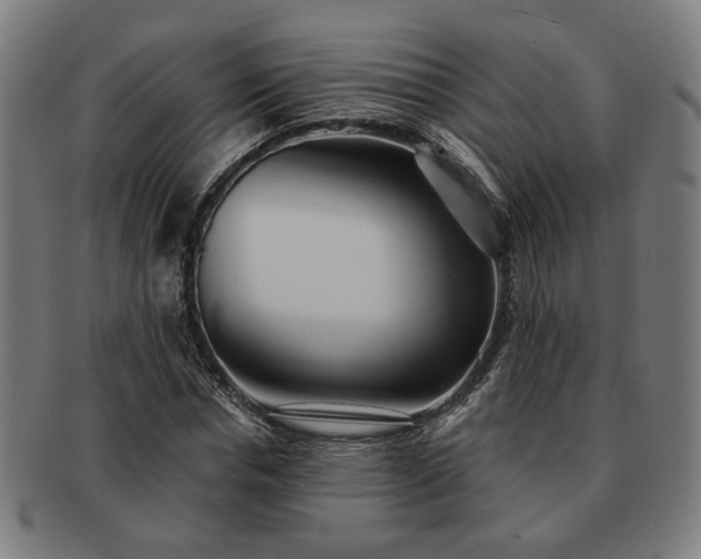 X0000091700826200708311051