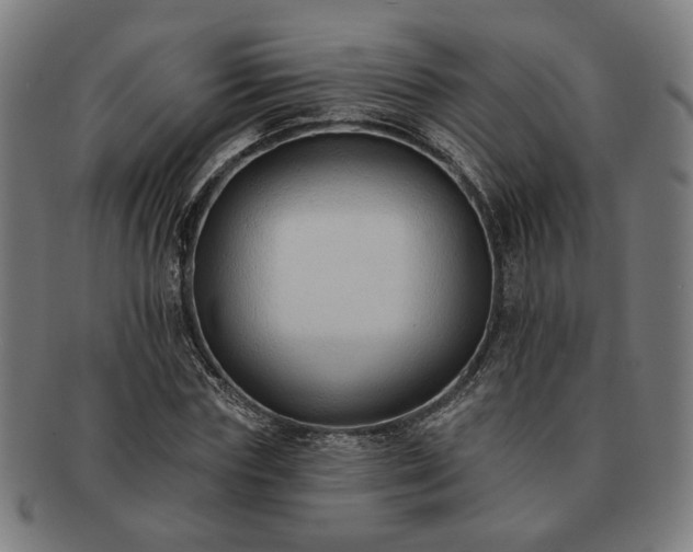 X0000091700827200708311051