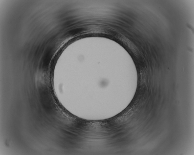 X0000091700828200708311051