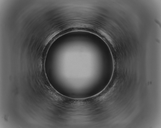 X0000091700829200708311051