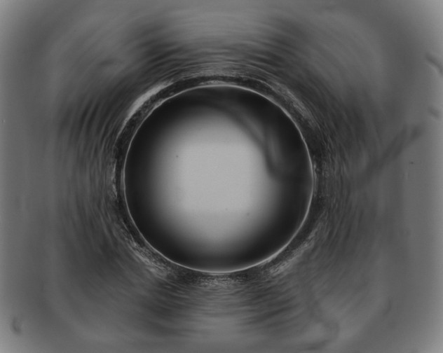 X0000091700830200708311051