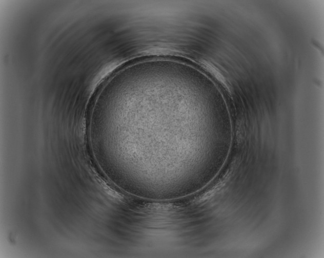 X0000091700831200708311051