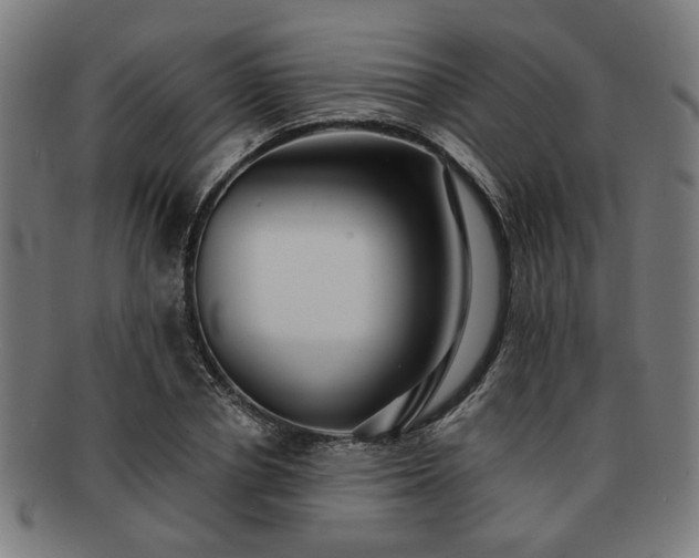 X0000091700834200708311051