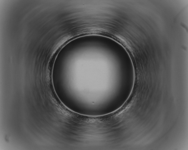X0000091700835200708311051