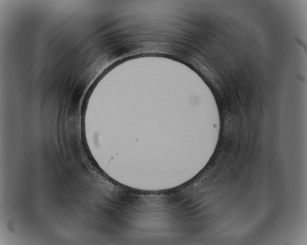 X0000091700836200708311051
