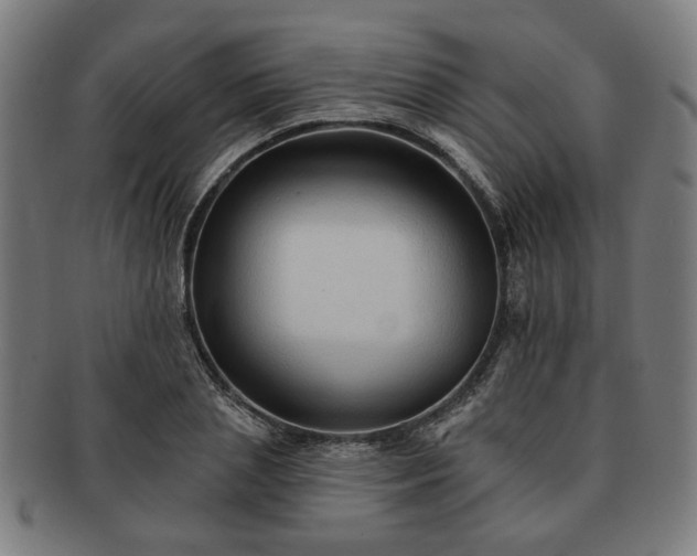 X0000091700837200708311051