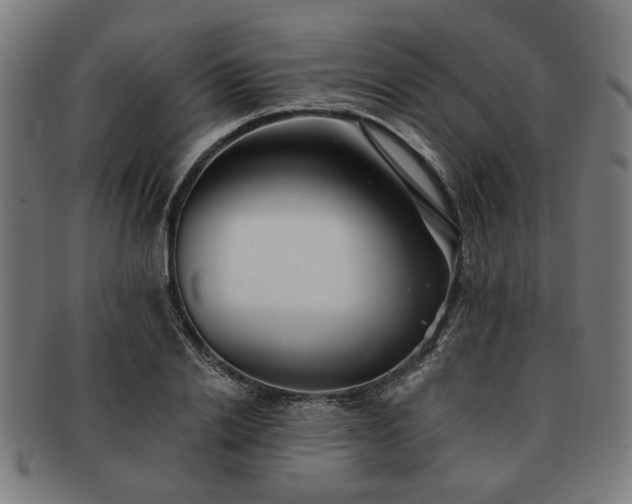X0000091700838200708311051