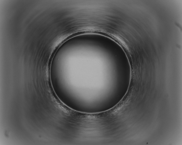 X0000091700839200708311051