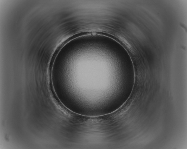 X0000091700840200708311051