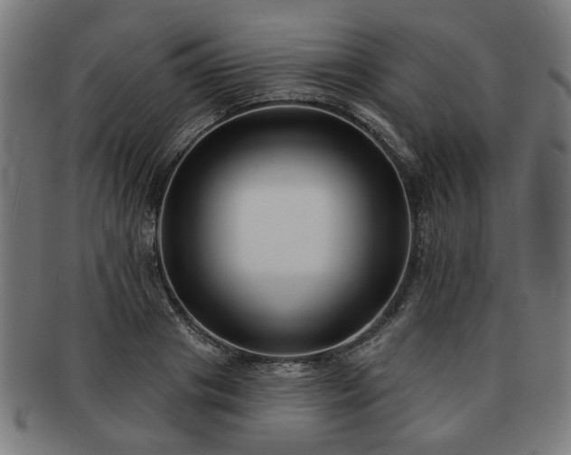 X0000091700841200708311051